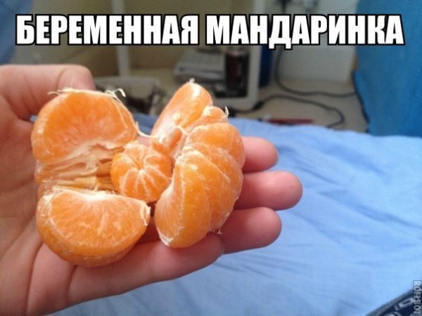 Прикольные мемы и картинки с надписями (25 фото)