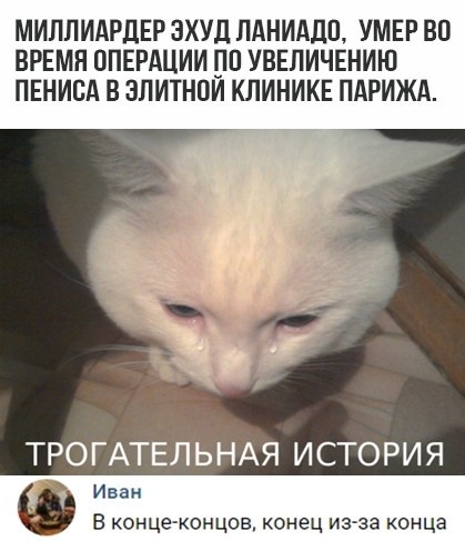 Скриншоты из социальных сетей (59 фото)