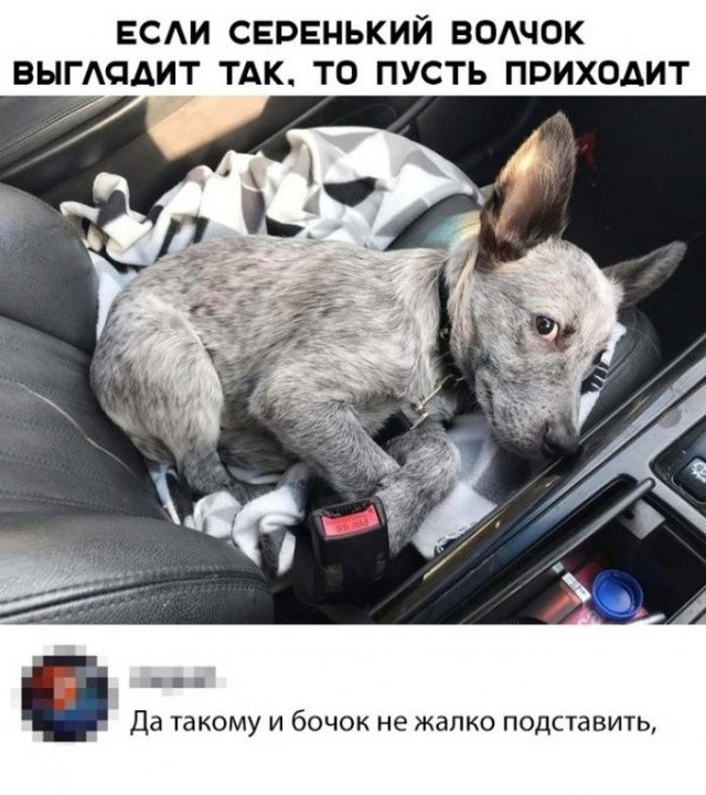 Простой юмор с просторов сети (25 фото)