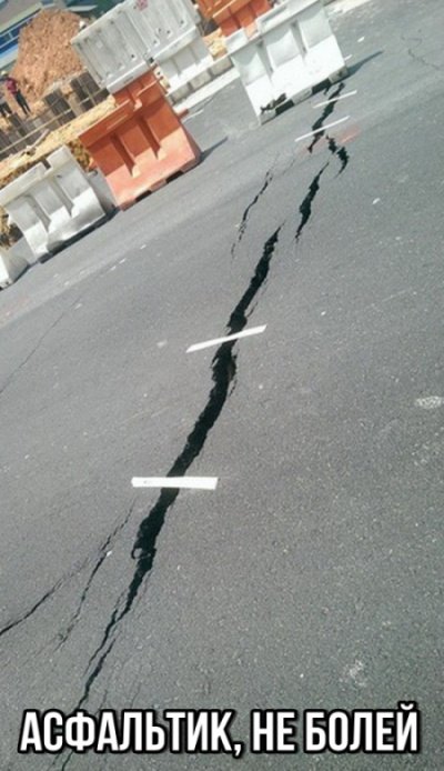 Подборка фото-приколов с надписями (89 фото)