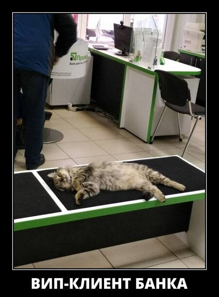 Популярные демотиваторы