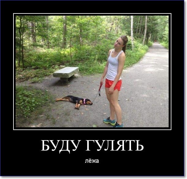 Прикольные демотиваторы