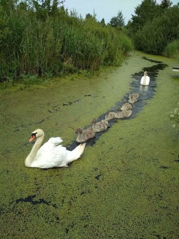 Подборка прикольных фотографий (86 фото)