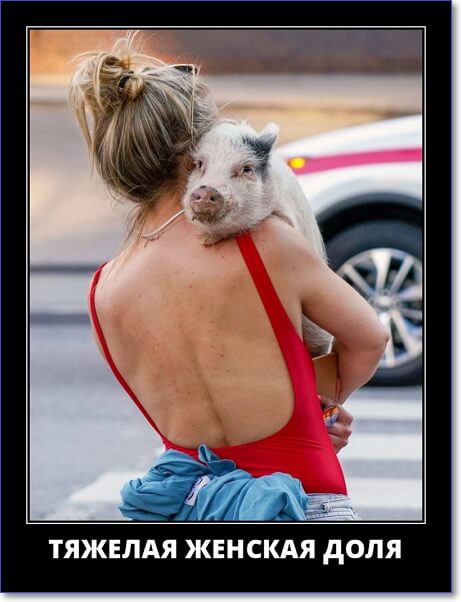 Кайфологовые демотиваторы