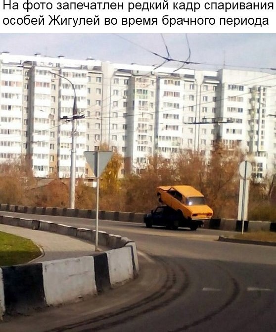 Странный юмор из соцсетей (33 фото)