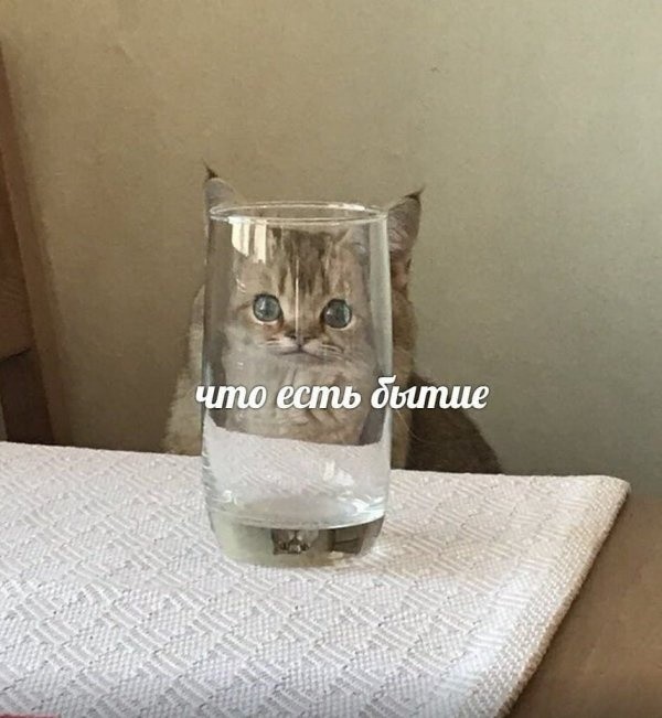 Нестандартный юмор с просторов сети (32 фото)