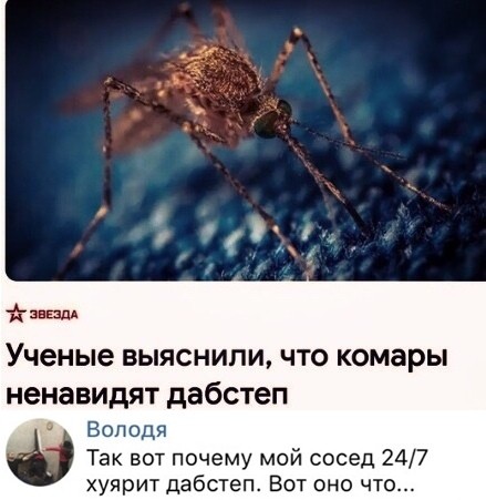 Скриншоты апрельского юмора из социальных сетей (35 фото)