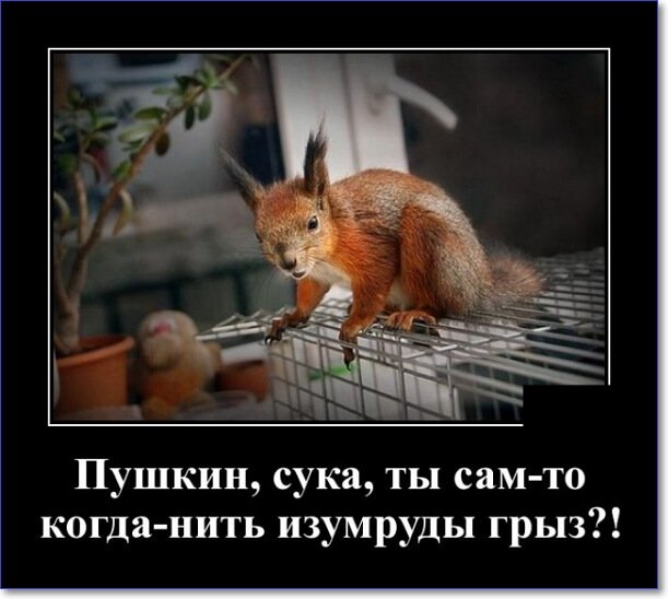 Забавные и очень смешные демотиваторы про девушек и не только