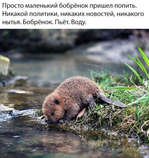 Юмор и шутки в соцсетях без особого смысла (30 фото)