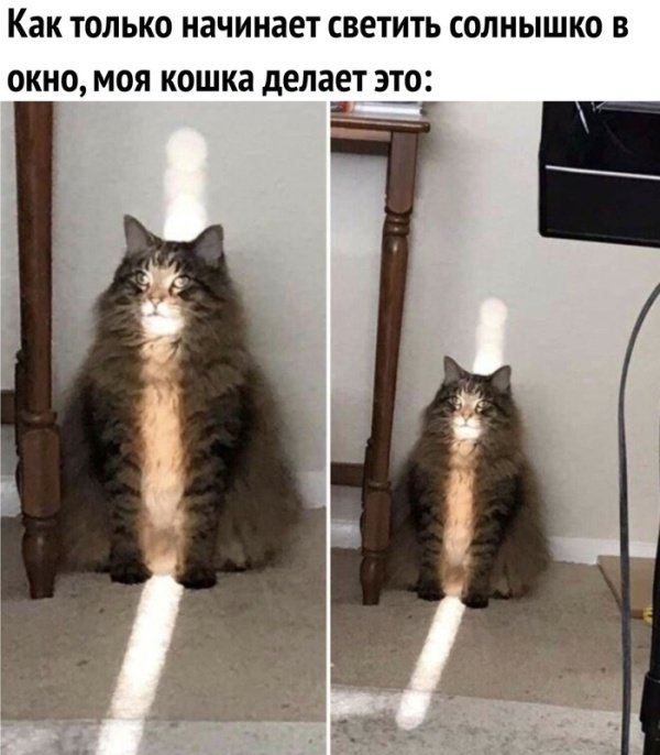 Пятничная подборка прикольных картинок, мемов и фото (43 шт.)