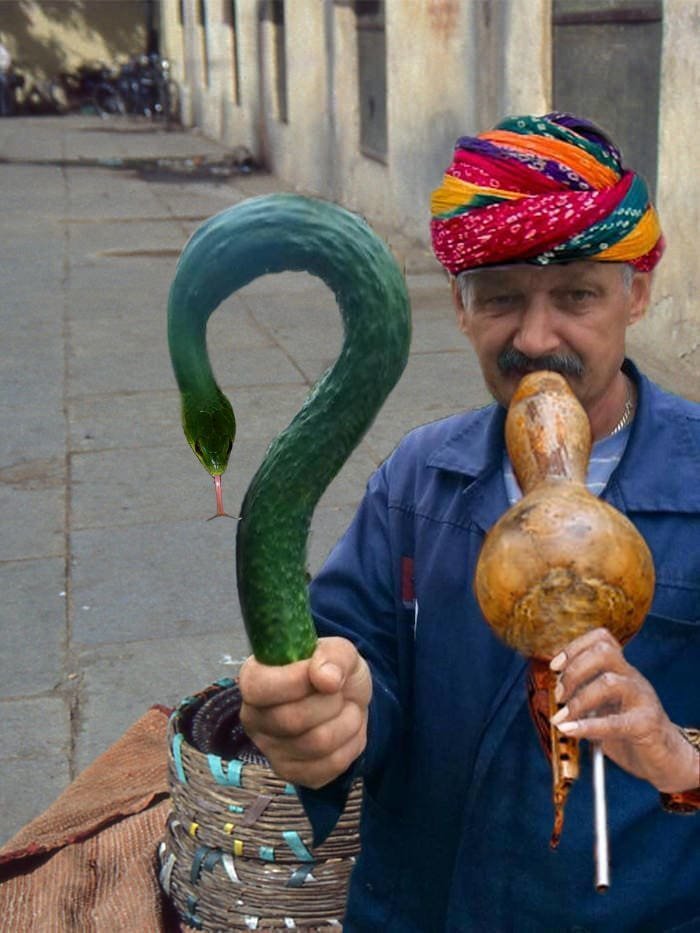 Мужчина показал свой огурец и стал героем мемов (16 фото)