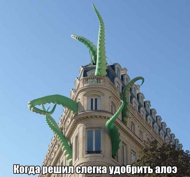 Подборка фотоприколов. Часть 4 ( 30 фото) Подборка фотоприколов. Часть 4 ( 30 фото)