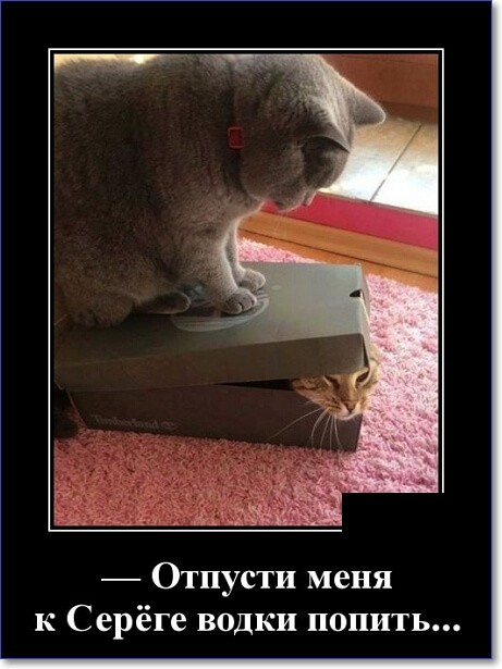 Прикольные демотиваторы, которые можно скачать Прикольные демотиваторы, которые можно скачать