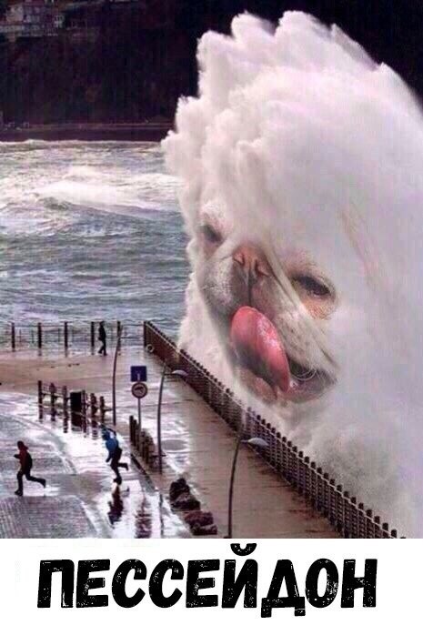 Нестандартный юмор с просторов сети (32 фото)