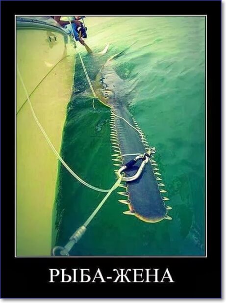 Прикольные демотиваторы, которые можно скачать Прикольные демотиваторы, которые можно скачать