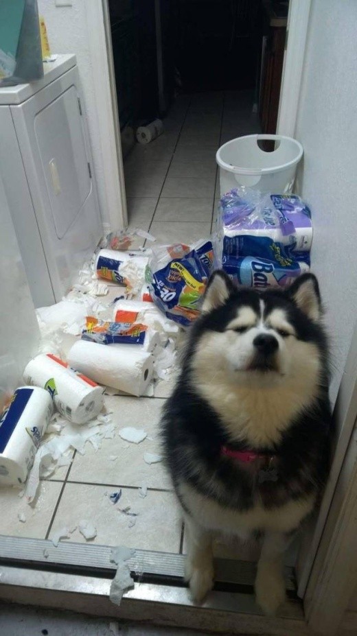 Подборка прикольных картинок, фото и мемов (20 фото)