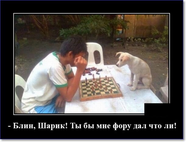 Забавные и очень смешные демотиваторы про девушек и не только