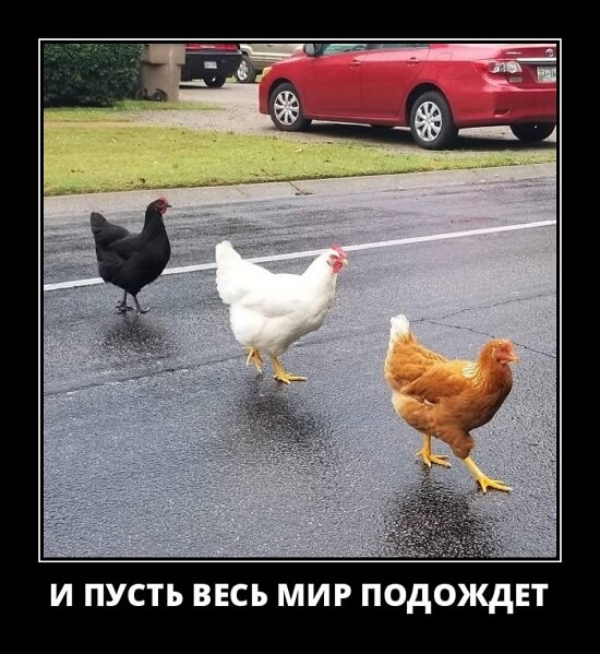 Фото русский демотиватор Фото русский демотиватор