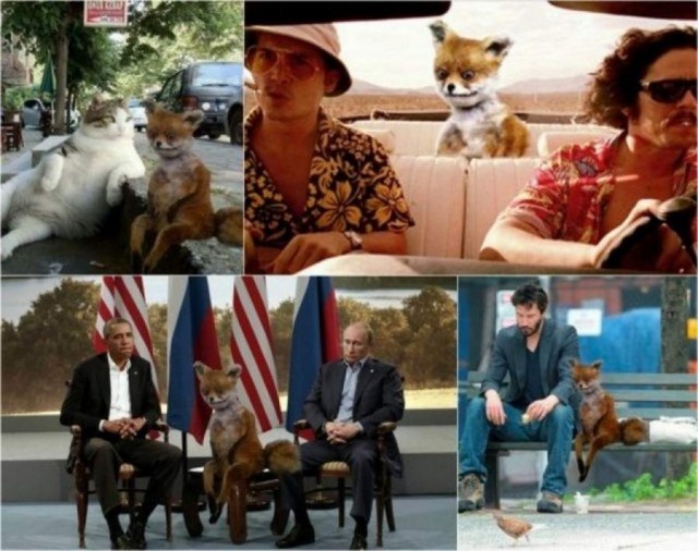 Как появились известные интернет-мемы (30 фото) Как появились известные интернет-мемы (30 фото)