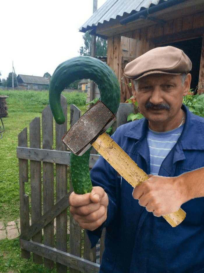 Мужчина показал свой огурец и стал героем мемов (16 фото)