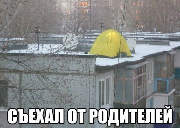 Прикольные мемы и картинки с надписями (25 фото)