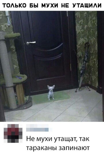 Убойные мемы из социальных сетей (30 фото) Убойные мемы из социальных сетей (30 фото)