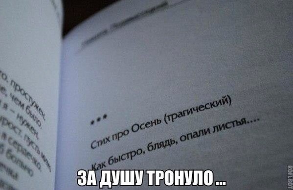 Прикольные мемы и картинки с надписями (25 фото)