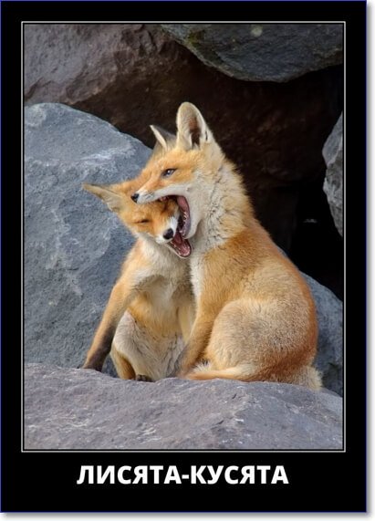 Злобные демотиваторы