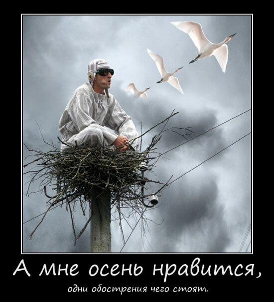 Популярные демотиваторы