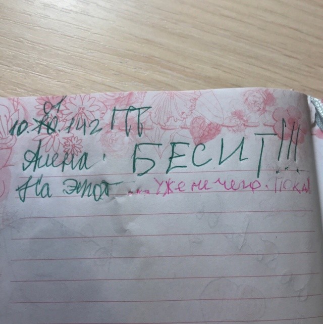 Что пишут дети в своих дневниках (30 фото)