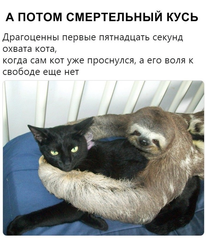 Скриншоты из социальных сетей (59 фото)