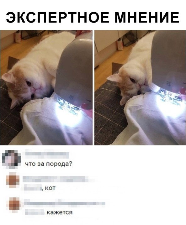 Скриншоты из социальных сетей (32 фото)