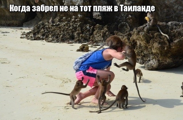 Фотоподборка, которая расскажет о странах мира лучше, чем любой путеводитель (17 фото)