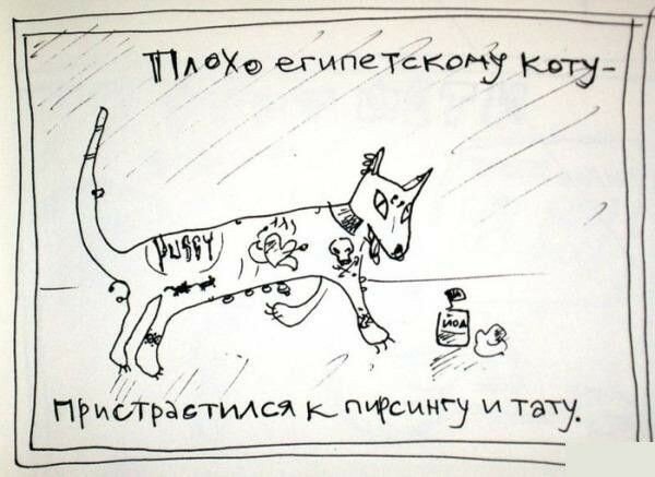 Дурные привычки (17 фото) Дурные привычки (17 фото)