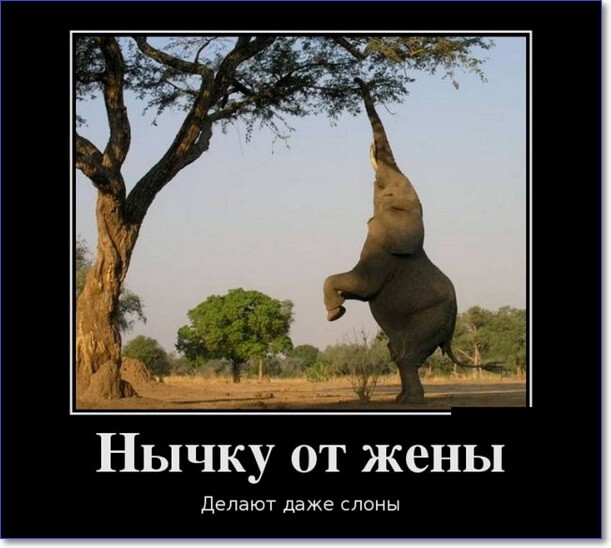 Прикольные демотиваторы