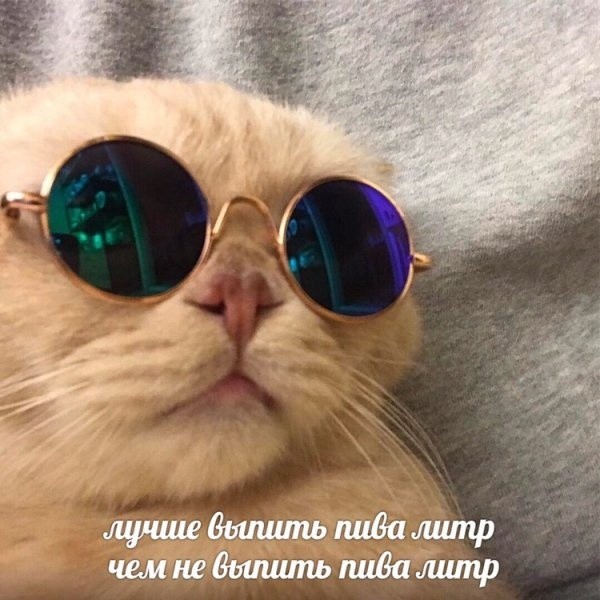 Мемы и смешные картинки без смысловой нагрузки (32 фото)