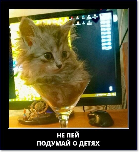 Кайфологовые демотиваторы