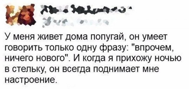 Мемы и смешные картинки без смысловой нагрузки (32 фото)