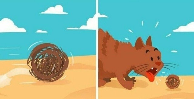 Простой юмор с просторов сети (25 фото)