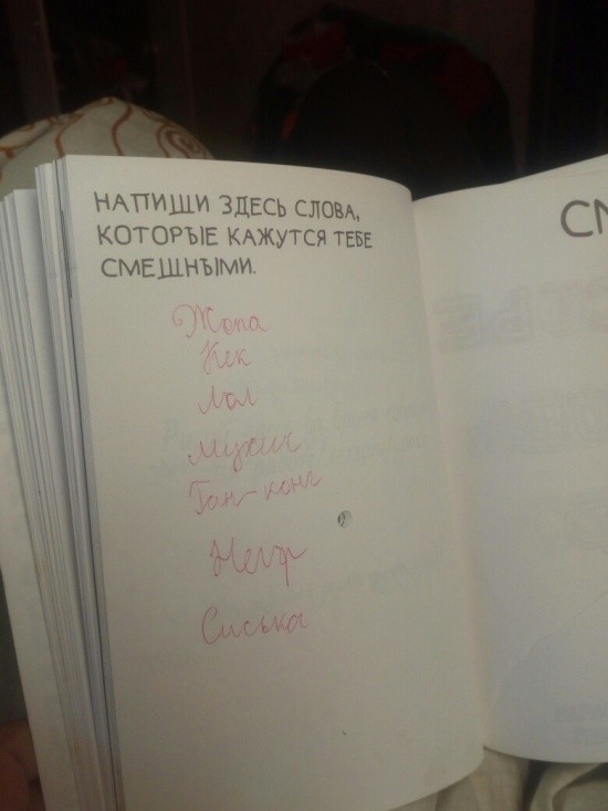 Что пишут дети в своих дневниках (30 фото)