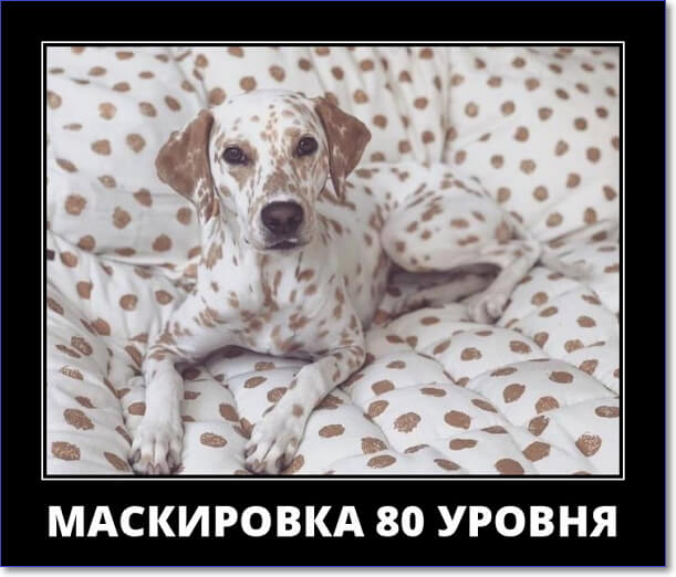 Прикольные демотиваторы, которые можно скачать Прикольные демотиваторы, которые можно скачать