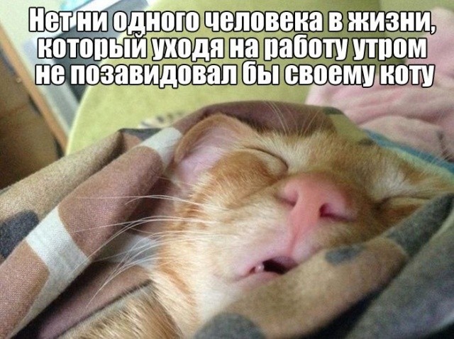 Простой юмор с просторов сети (25 фото)