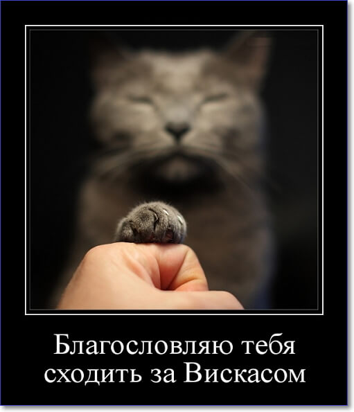 Злобные демотиваторы