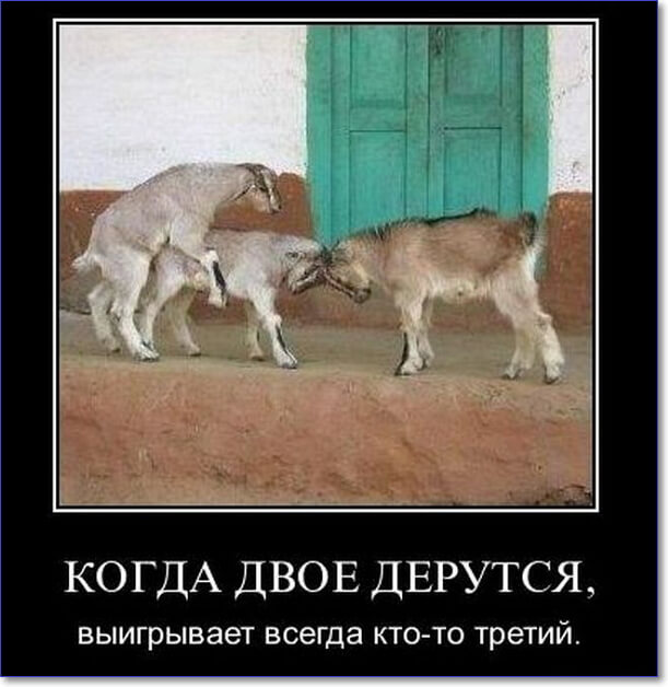 Злобные демотиваторы