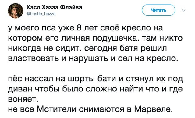 Подборка фото-приколов с надписями (89 фото)