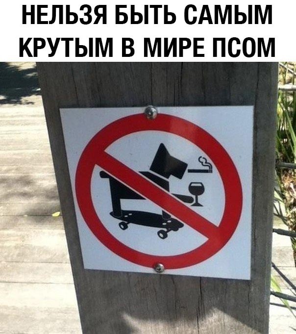 Странный юмор из соцсетей (33 фото)