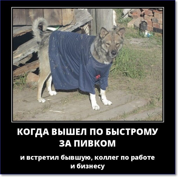 Злобные демотиваторы