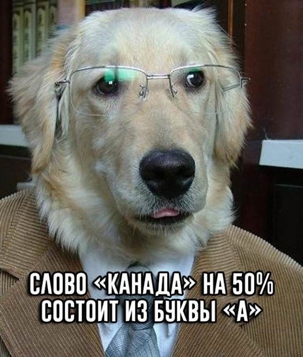 Простой юмор с просторов сети (25 фото)