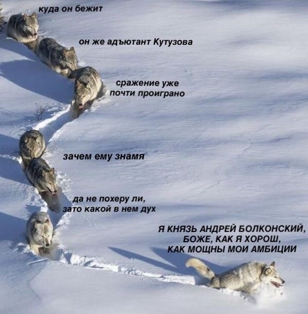 Юмор и шутки в соцсетях без особого смысла (30 фото)