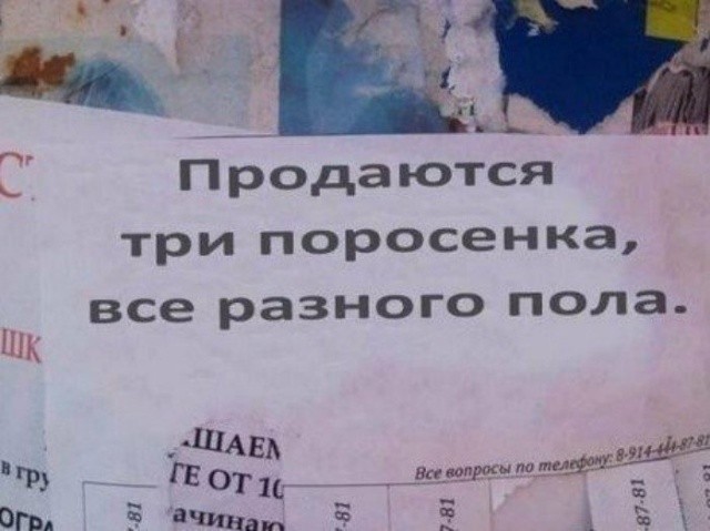 Простой юмор с просторов сети (25 фото)